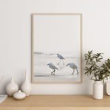 Nordic Peace Sea Birds, view 6