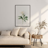 Nordic Peace Pivoine Blanche, view 4