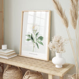 Nordic Peace Pivoine Blanche, view 5