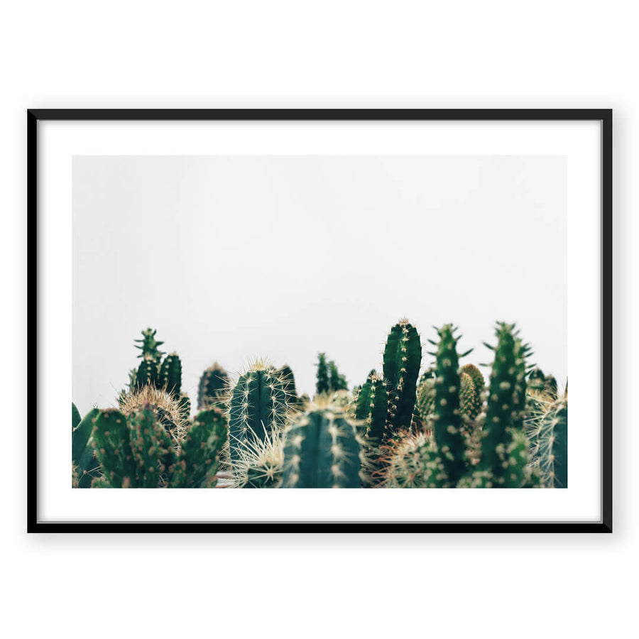 Nordic Peace Cactus