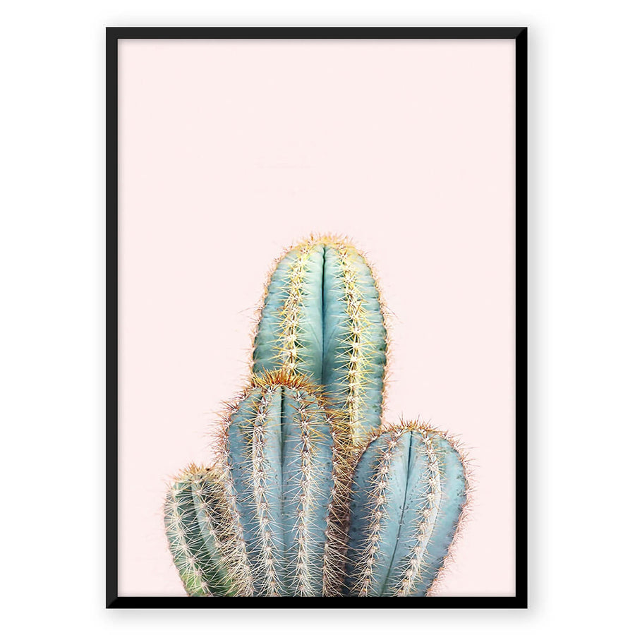 Nordic Peace Rosé Cactus