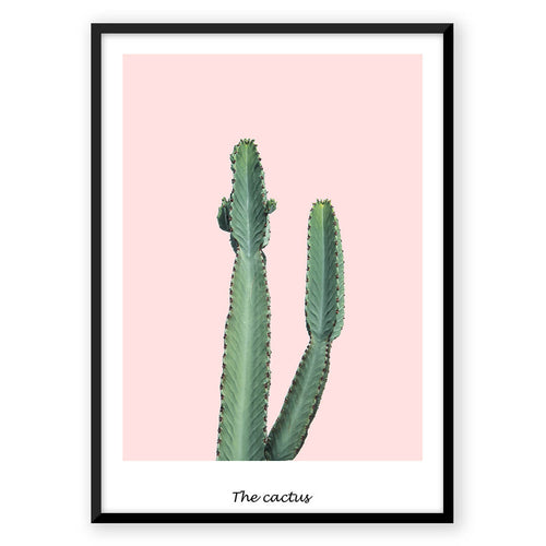 Nordic Peace Pink Cactus