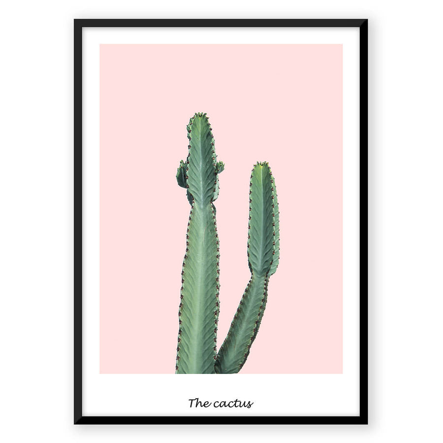 Nordic Peace Pink Cactus