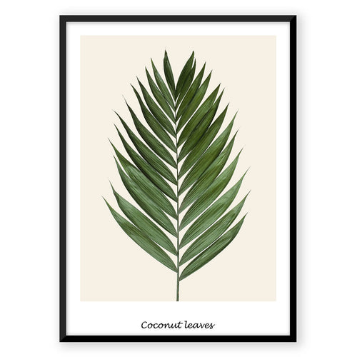 Nordic Peace Coconut Leaves