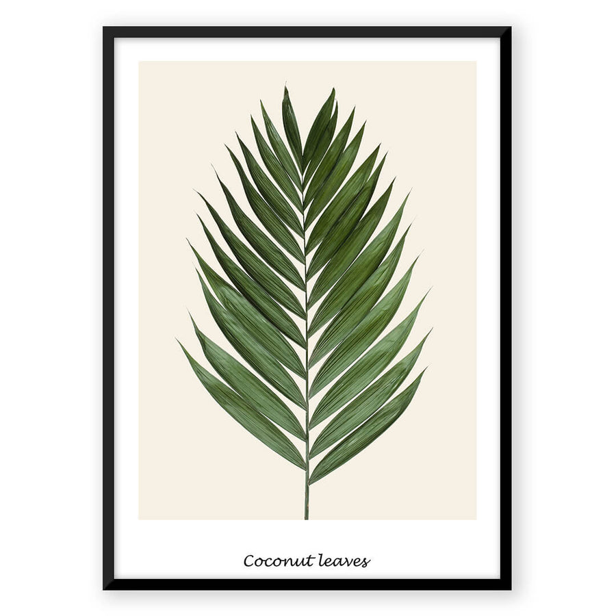 Nordic Peace Coconut Leaves