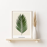 Nordic Peace Coconut Leaves, view 2