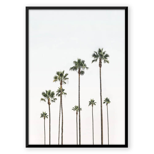 Nordic Peace Palm Trees