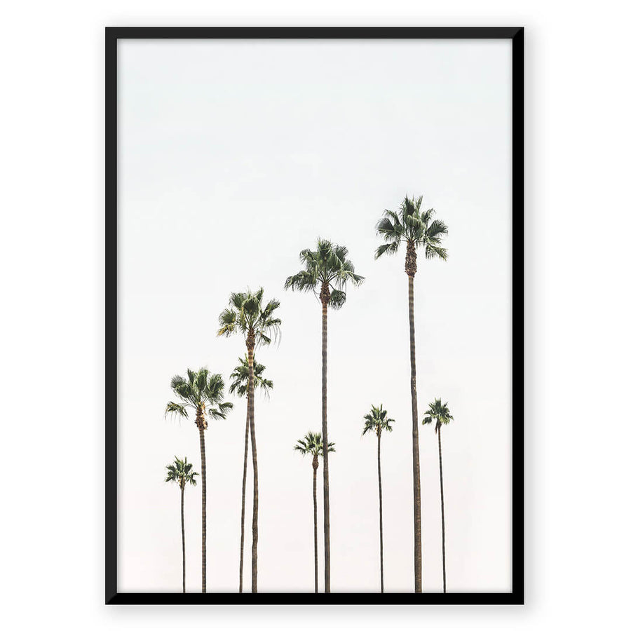 Nordic Peace Palm Trees