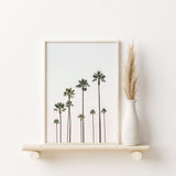 Nordic Peace Palm Trees, view 2