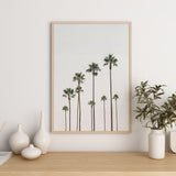 Nordic Peace Palm Trees, view 6