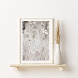 Nordic Peace Cream, view 2