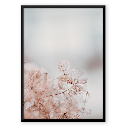 Nordic Peace Delicate