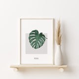 Nordic Peace Monstera, view 2