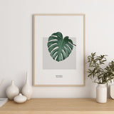 Nordic Peace Monstera, view 3