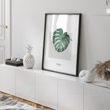 Nordic Peace Monstera, view 4