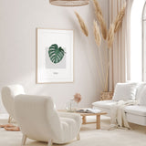 Nordic Peace Monstera, view 6
