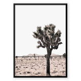 Nordic Peace Desert Ocean, view 5
