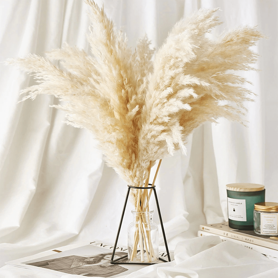 Nordic Peace Natural Dried Pampas Bouquet