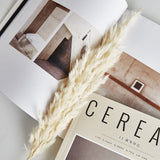 Nordic Peace Natural Dried Pampas Bouquet, view 2