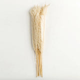 Nordic Peace Natural Dried Pampas Bouquet, view 4