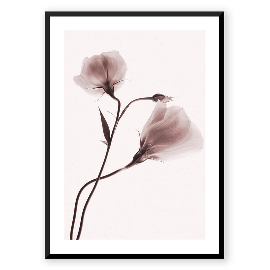 Nordic Peace Elegance