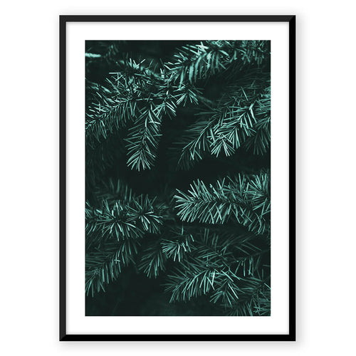 Nordic Peace Evergreen