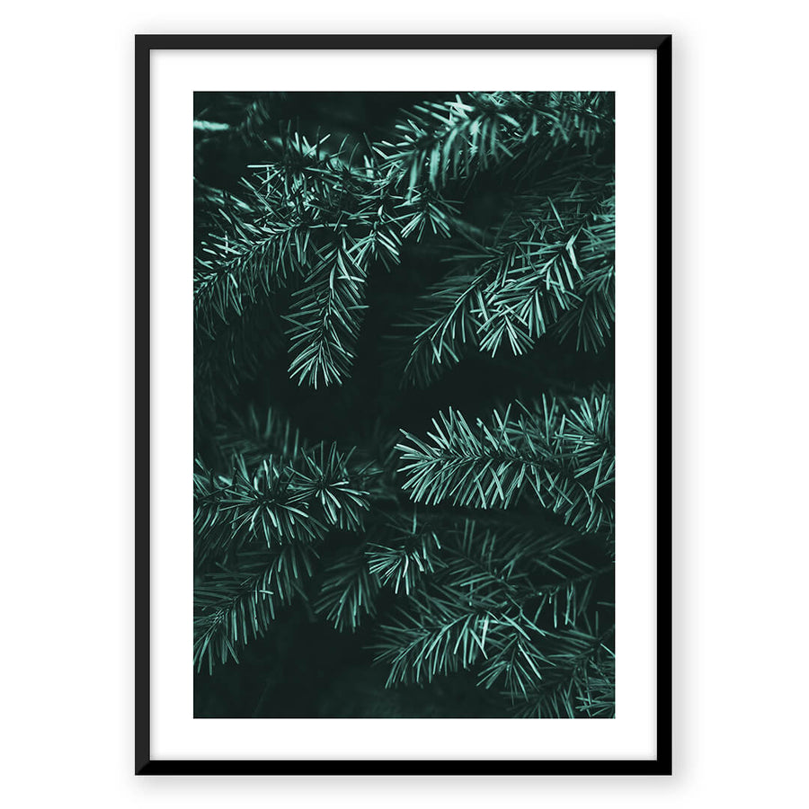 Nordic Peace Evergreen