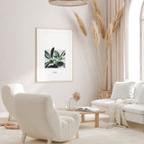 Nordic Peace Ficus Elastica, view 5