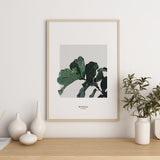 Nordic Peace Ficus Lyrata, view 3