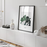 Nordic Peace Ficus Lyrata, view 4