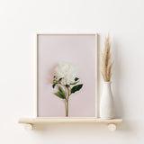 Nordic Peace Pastel Flower, view 2