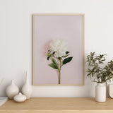 Nordic Peace Pastel Flower, view 5