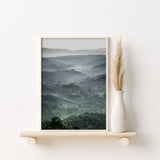 Nordic Peace Forest, view 2