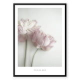 Nordic Peace Flower & Feather Quote, view 5