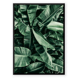 Nordic Peace Tropic Jungle, view 4