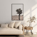 Nordic Peace Joshua Tree, view 3