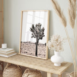 Nordic Peace Joshua Tree, view 5