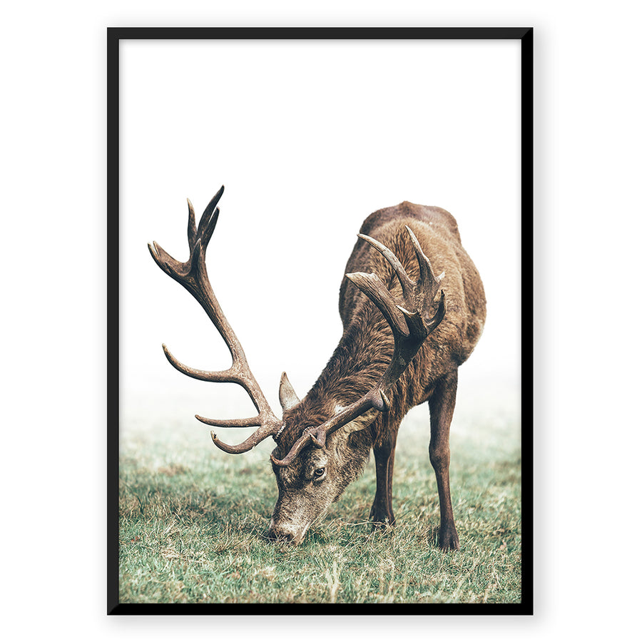 Nordic Peace Mountain Deer