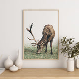 Nordic Peace Mountain Deer, view 3