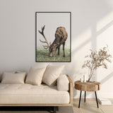 Nordic Peace Mountain Deer, view 5