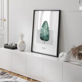 Nordic Peace Musa × Paradisiaca, view 4