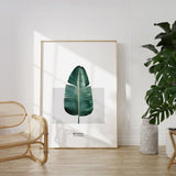 Nordic Peace Musa × Paradisiaca, view 5