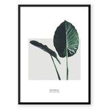 Nordic Peace Nordic Tropical Leafs, view 5