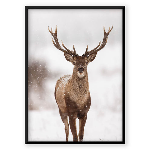 Nordic Peace Northern Deer