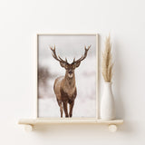 Nordic Peace Northern Deer, view 2