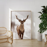 Nordic Peace Northern Deer, view 6