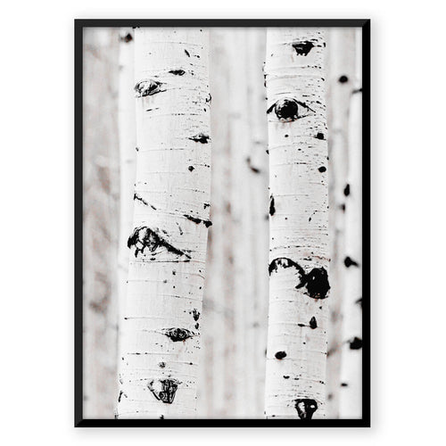 Nordic Peace Oak Tree