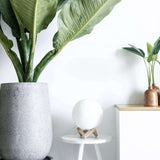 Nordic Peace Modern Moon Light Lamp, view 3