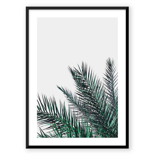 Nordic Peace Palm