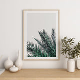 Nordic Peace Palm, view 6